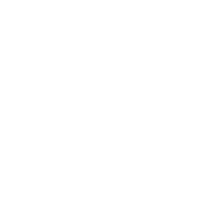 Flexible Engagement Models ICON Flexible Engagement Models ICON