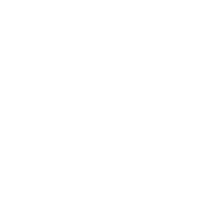 Omnichannel Support ICON Omnichannel Support ICON