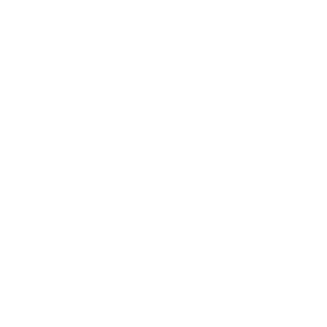 Scalable Infrastructure ICON Scalable Infrastructure ICON
