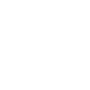 Significant Cost ICON Significant Cost ICON